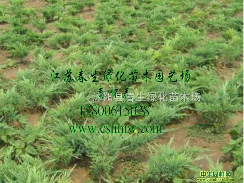 ɳذľɳذءAء䁵ذءذ