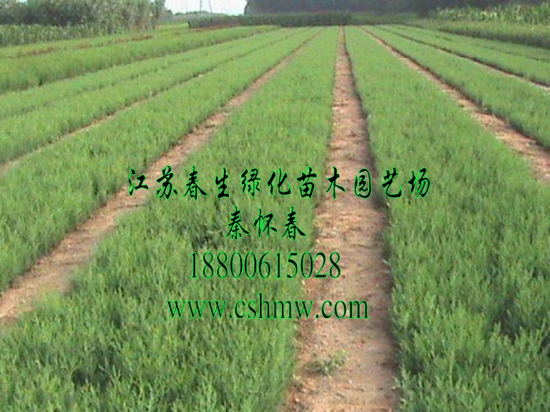 u硢uС15ѿ硢uС硢ɘС