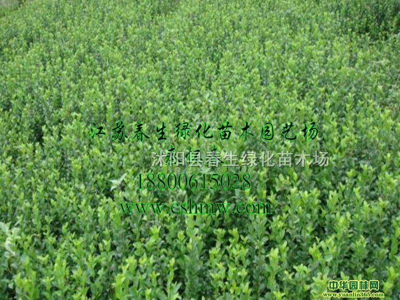 l(wi)ì硢l(wi)ìС硢l(wi)ìl(wi)ì