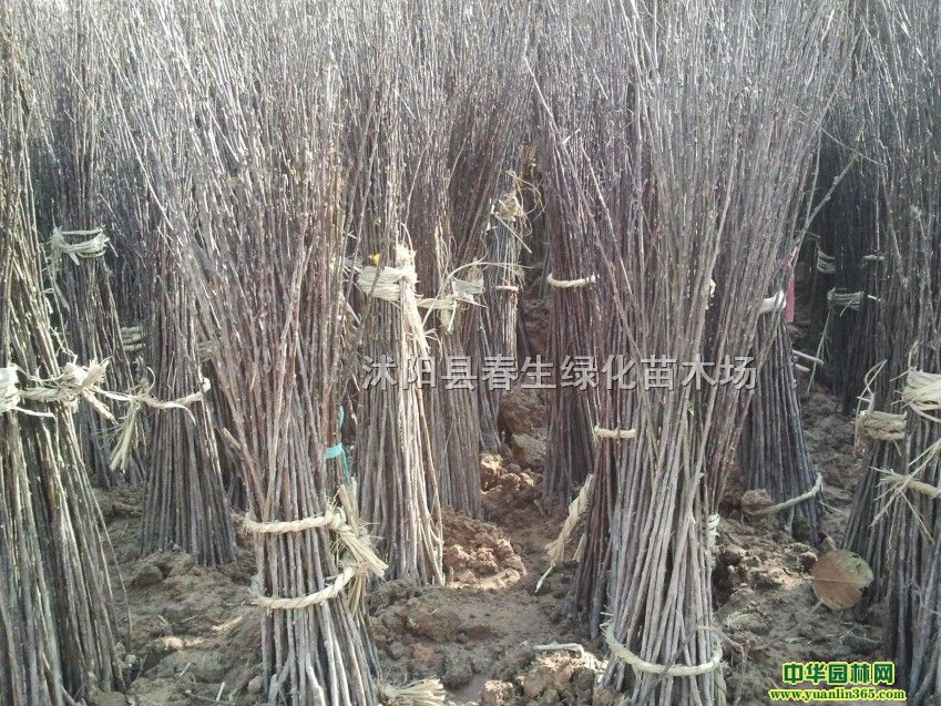 ѻС80-150סѻ硢Ҙ硢ѻ