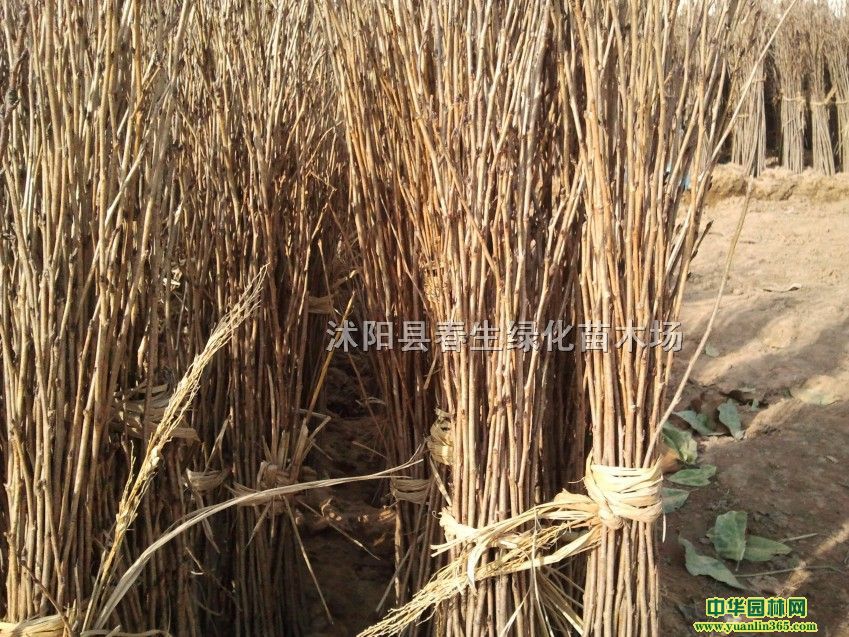 ѻС1.2סѻ䡢ѻձѻ