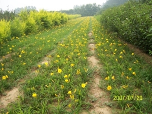 W޻~~ӹľt~ʯ