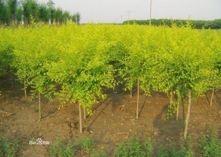 ~ܡ~硢~򡢸߽ӽ~ܡӽ~