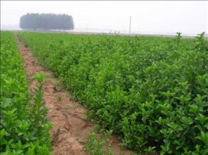 l(wi)ìl(wi)ìz|l(wi)ìߗUl(wi)ì