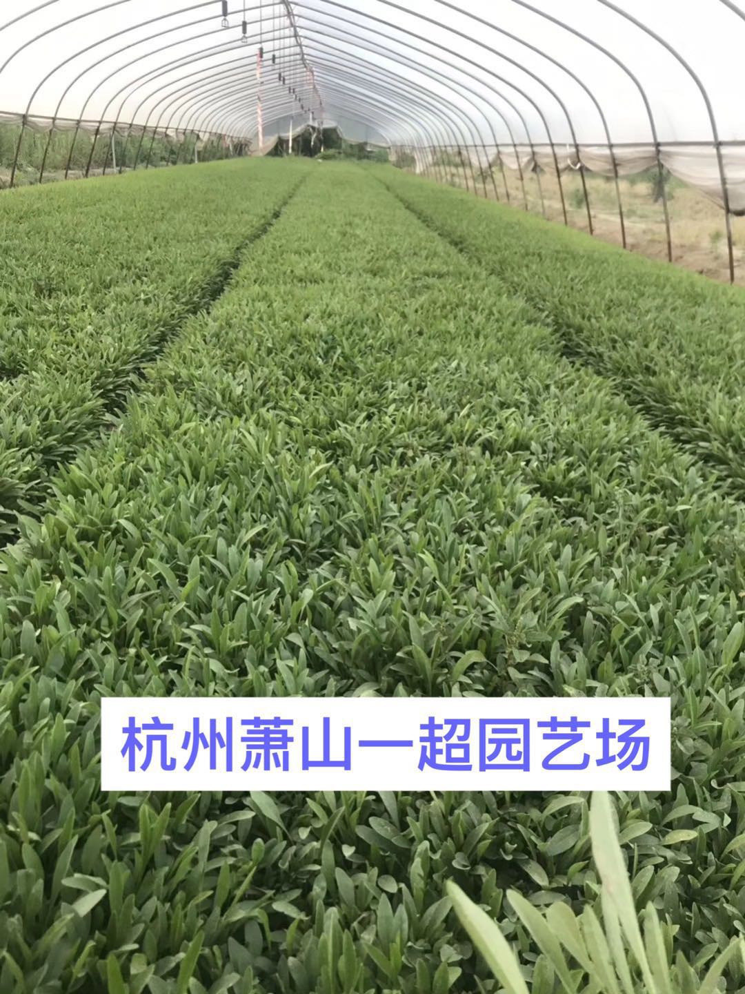 󻨽uա󻨽u󻨽uվGС