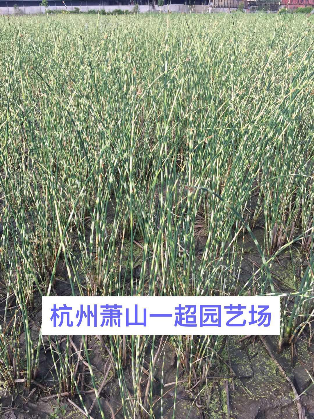 ~ˮ[~ˮ[~ˮ[ˮֱֲN