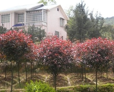 Kꖿhº(zhn)Ԫľ@ˇ(chng)