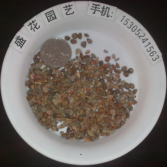 SõNt÷õNS÷t÷ͺԏ