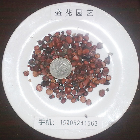 ܷNӡSѷNӡˮSβNӡ҃(ni)Nֲ