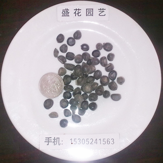 ĵNӻѡܷNӡ~̫ꖻNļĵ