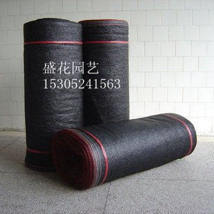 ءꖾW(wng)W(wng)W(wng)ꎾW(wng)aW(wng)ڹW(wng)