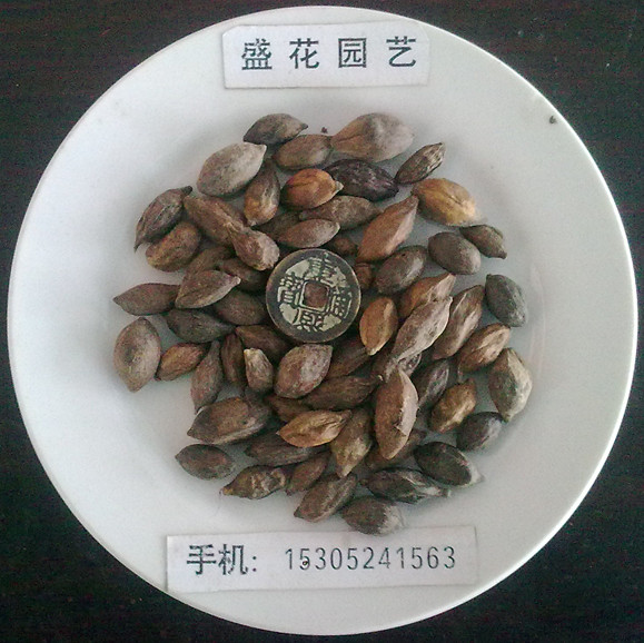 С~ʷN~ޙ䡢