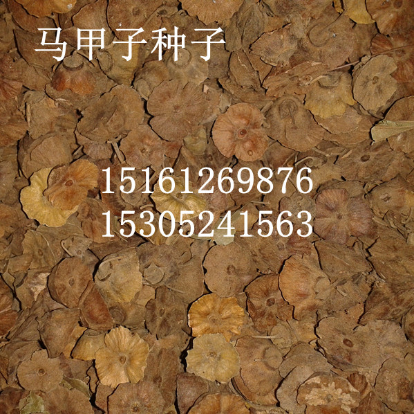 RӷNӡľϷNӡľ޷NӡNӡͩN