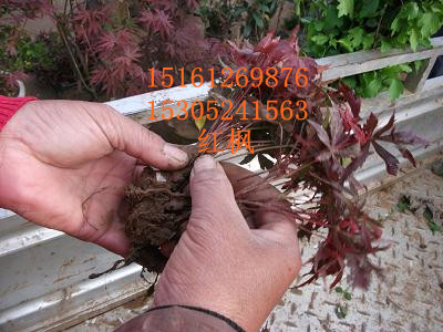 tС硢С硢uצ硢~硢