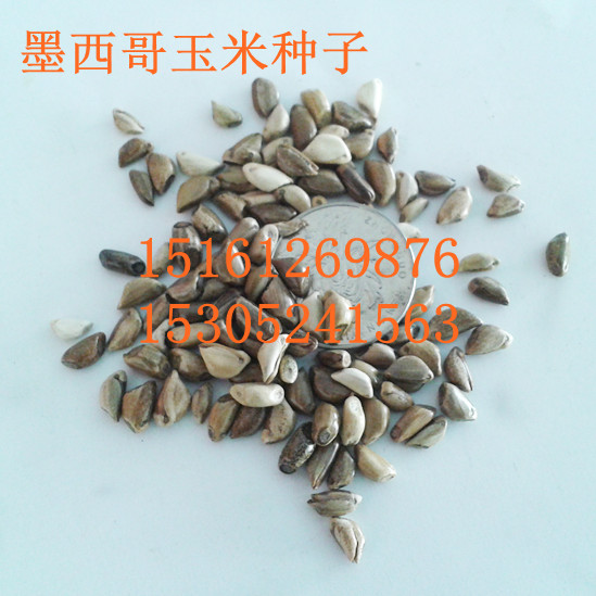 ī׷NӡķNӡݷNӡNӵ