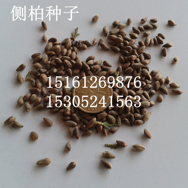 ȰطNӡ~ŮؑNӡٷNӡN