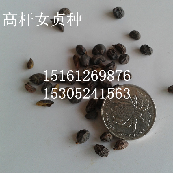 ~ŮؑNӡٷNӡNӡNӡN