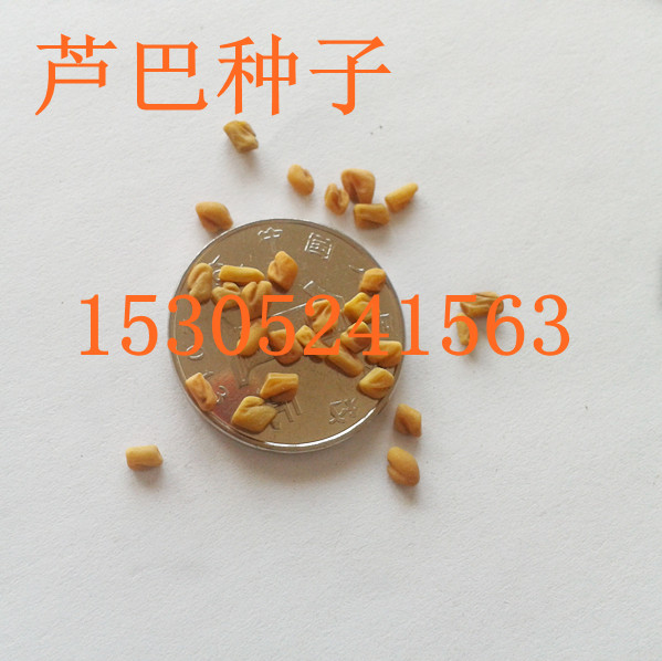 JӷNӿඹJݡJ͡ඹ