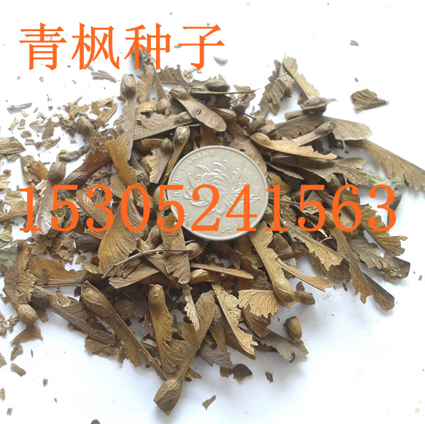 NӡͩNNɼNɳN