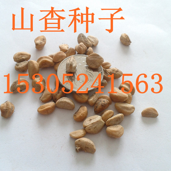 ɽ髷NӡɽҷNӡɽǷNӡɼľNӡN