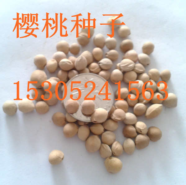 ҷNӡͲNӡٷNӡɷNӡ~÷N