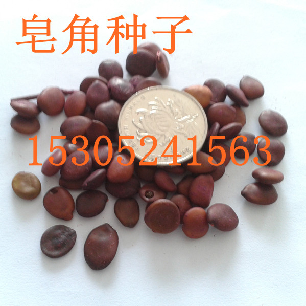 СдǷNӡĸNӡޱNӡٷN