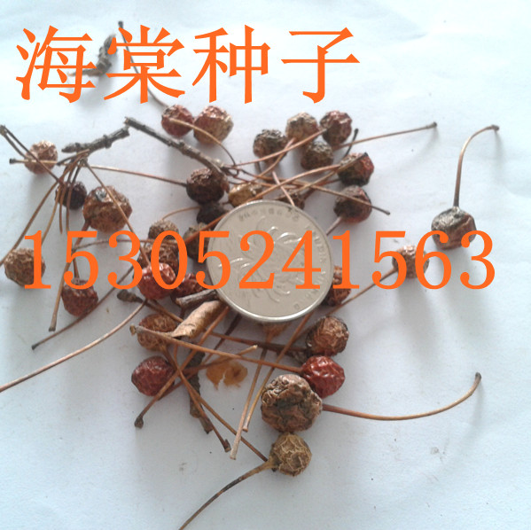 ķNӡϚgNӡɷNӡtʷNӡ˼N