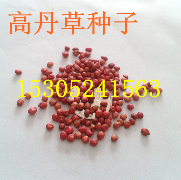 ݷNӡߵݷNӡKݷNӵݷN