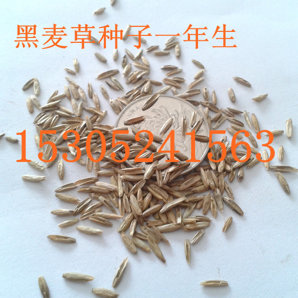 |һݷNӡݷNӵȲƺݷN