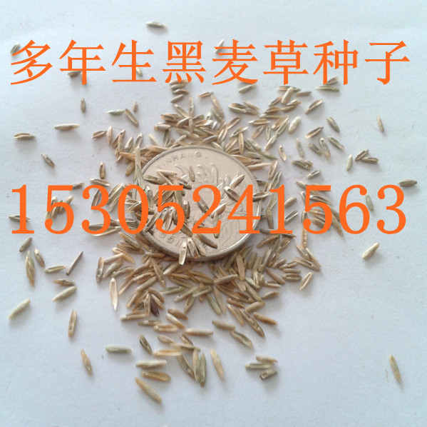 |ݷNӡ~Nӡt~NӵȲݷN