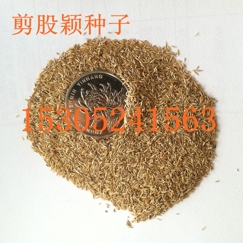 |ɷfNӡMڼɷfNӡ¼ɷfN