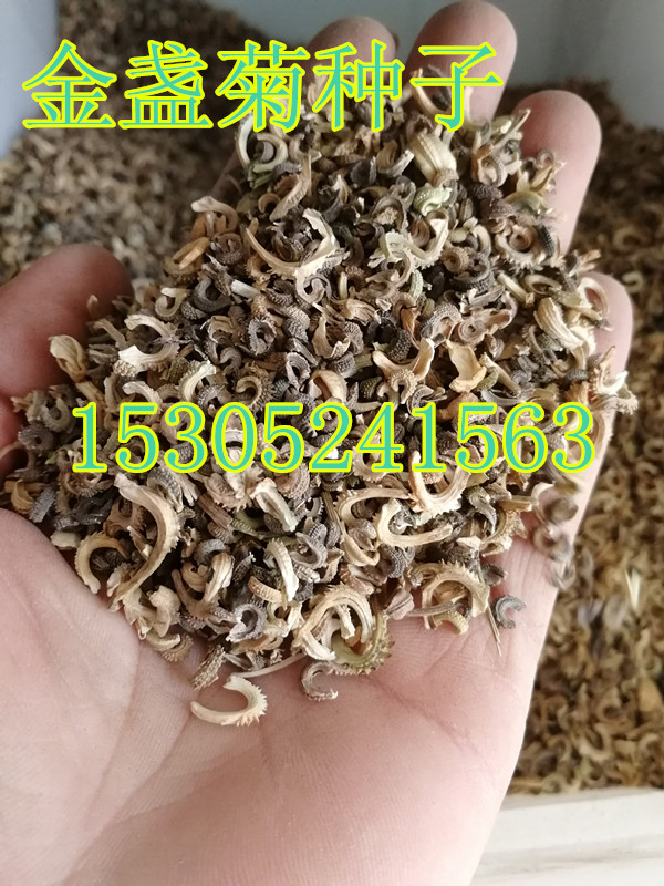 (yu)|(zh)KշN˹շNmNݻN