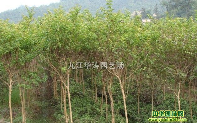 (yu)|(zh)2ޱС硢؏1-2-3ޱ(dng)ޱС