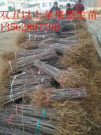 O(png)ԭ硢0.8O(png)(sh)