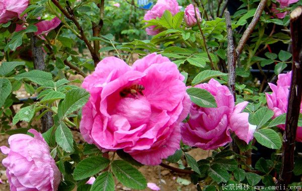 50-120ֵĴõСʲôr(ji)