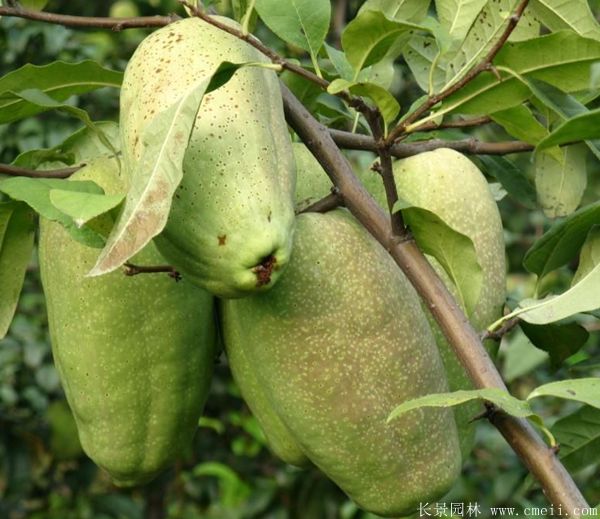 ľϺăr(ji)-DƬ-a(chn)-