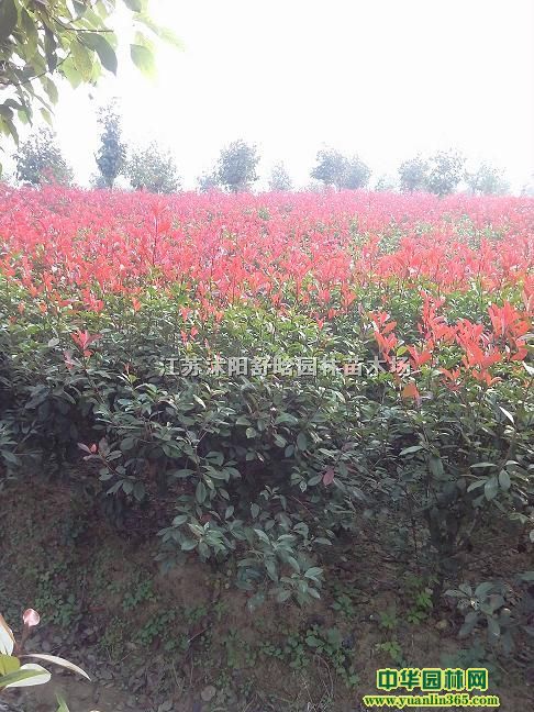 t~ʯ骡t\ѻͩޱ