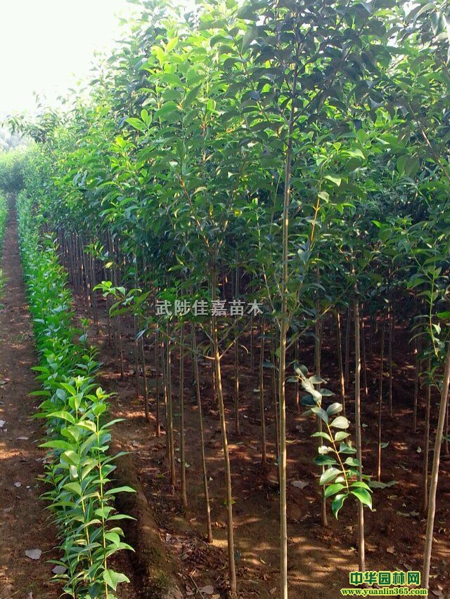 107䡢䡢~ŮؑС~Ůؑͩ