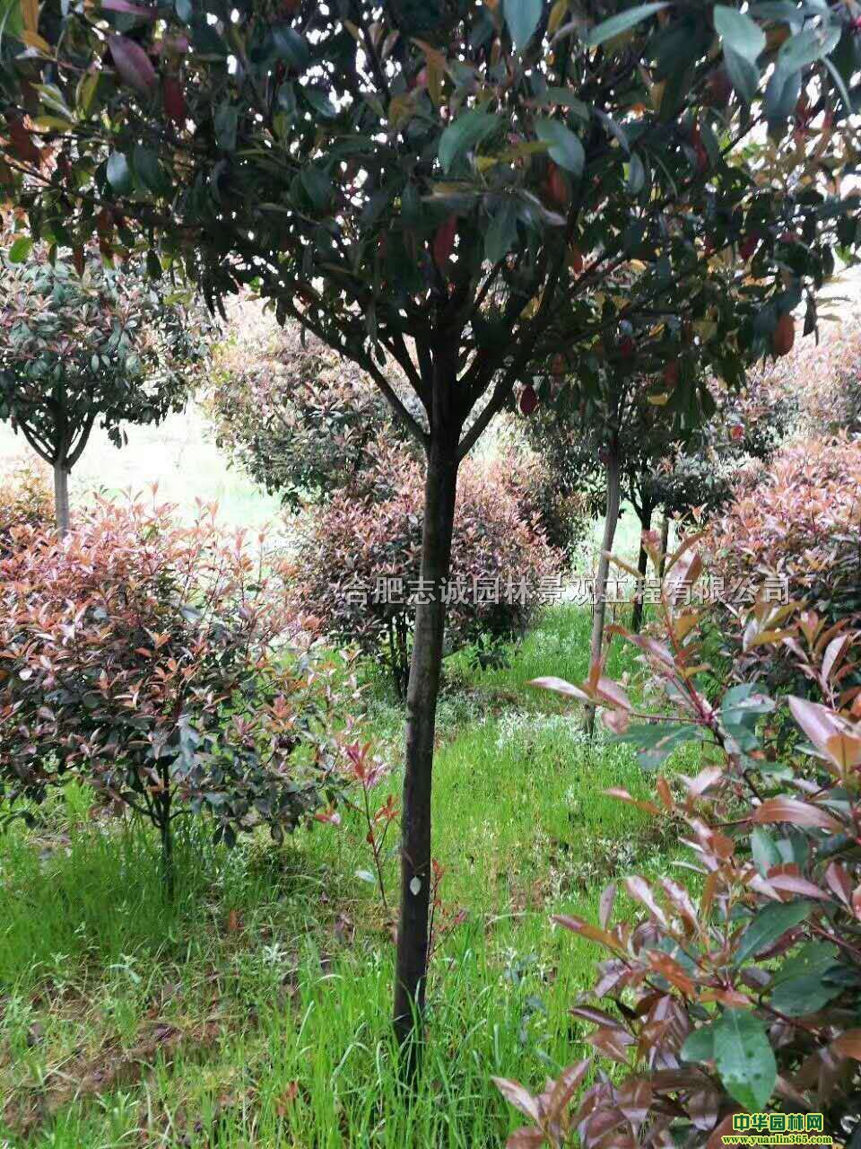 ռt~ʯ骡3ּt~ʯ骡4ּt~ʯ