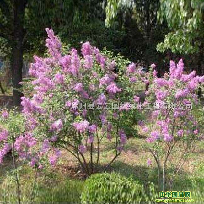 t㡢tС硢t繤硢@־G