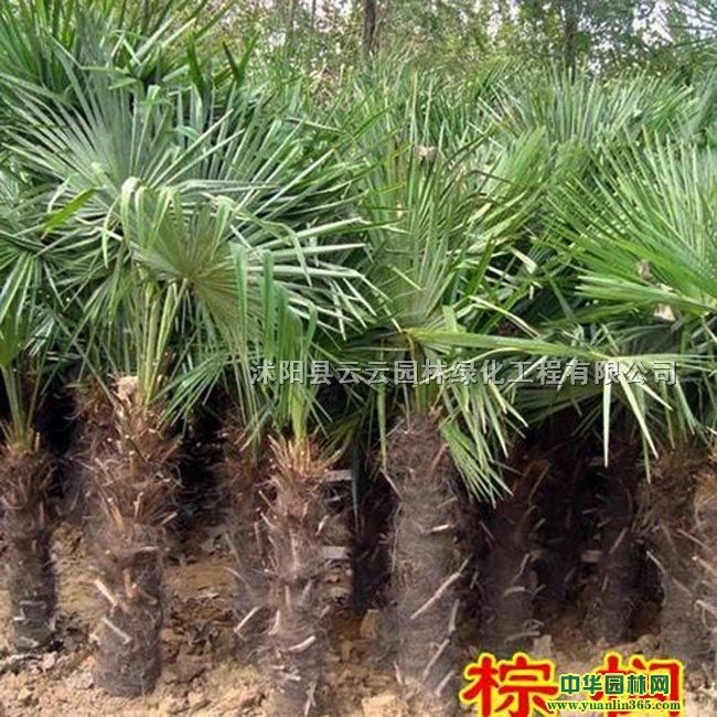 ؙؙ硢ؙС硢ؙԡؙ