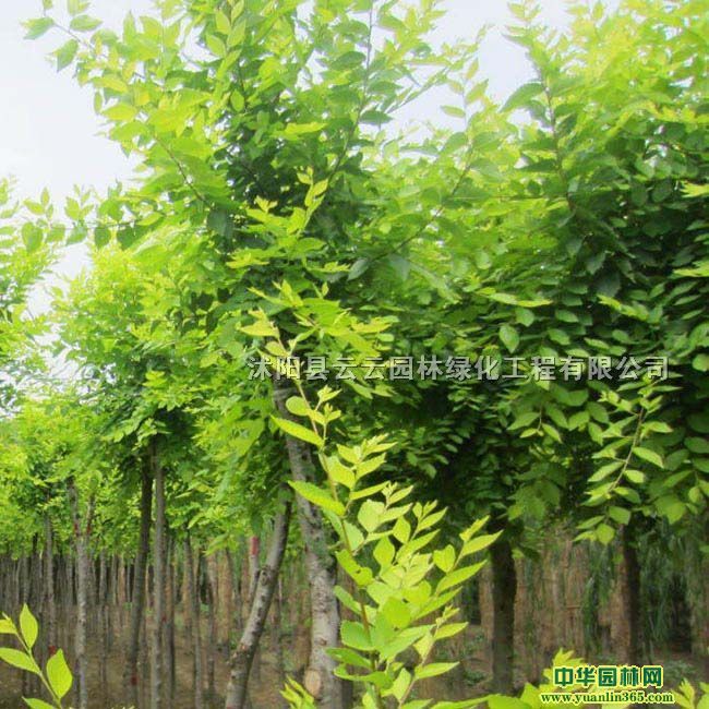 2-15ֽ~ܷ֧c(din)2׽~ܘ(sh)~С