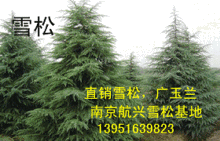 ѩVmu\(chng)ֱN(xio)