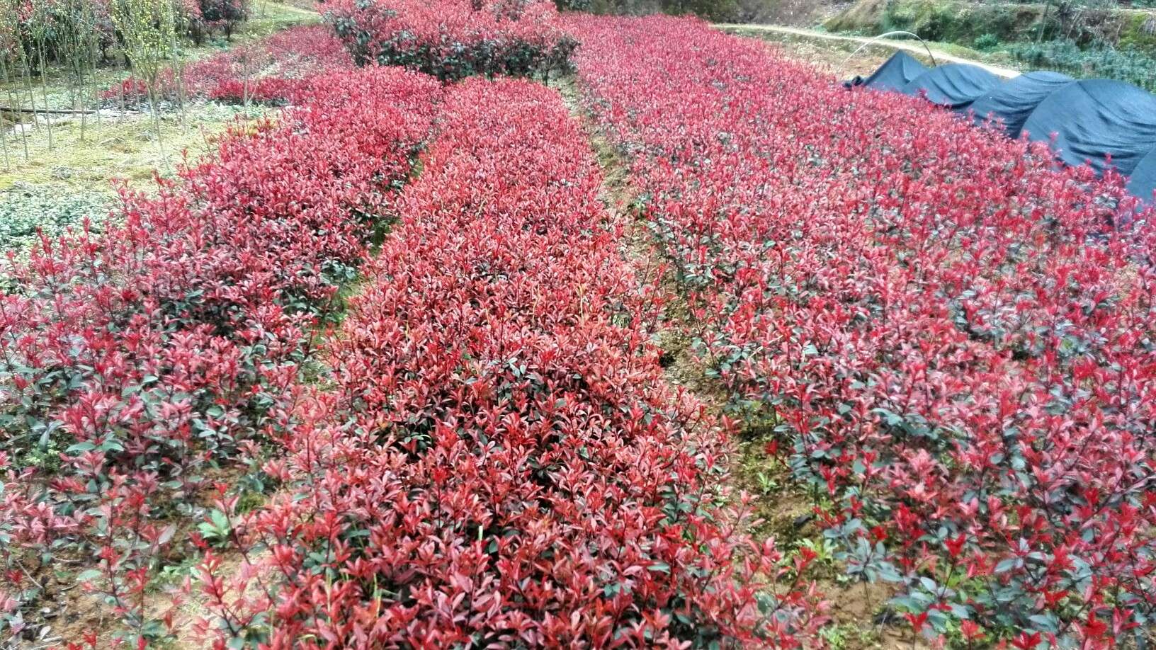 t~ʯС硢t~ʯ򡢸ߗUt~ʯ骘