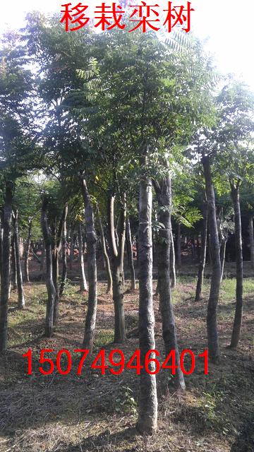 ԙ䡢ݘ䡢䡢Թ𻨡ԏVm