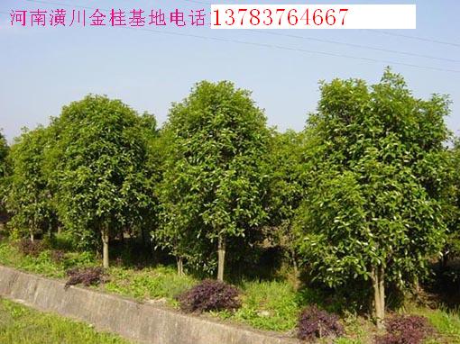 С~Ůؑ͘䡢u͡_h͡ߗUŮؑ۹򡢻