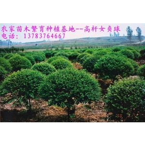 𼬡ʯ骡ؙSɽ䡢t÷÷