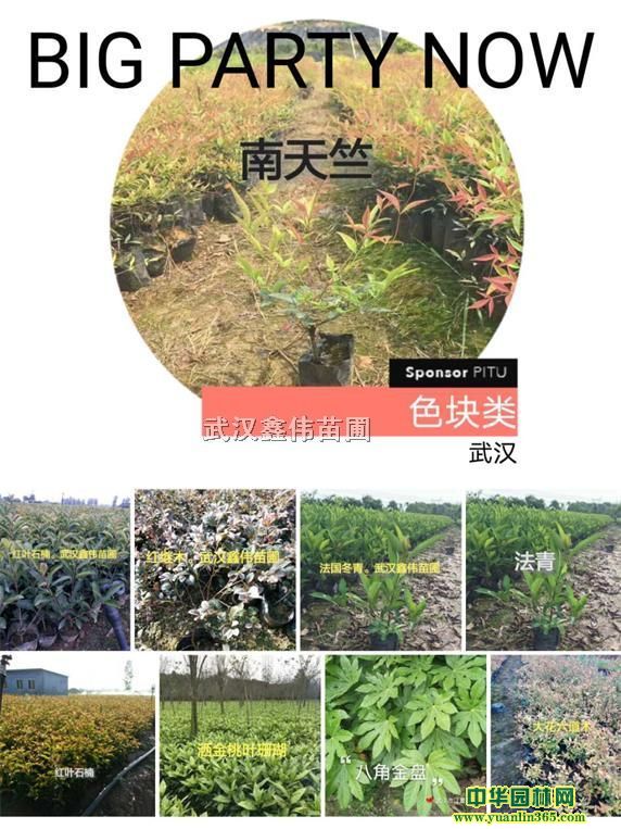 t~ʯ骼t^ľɭŮؑͩdӻS