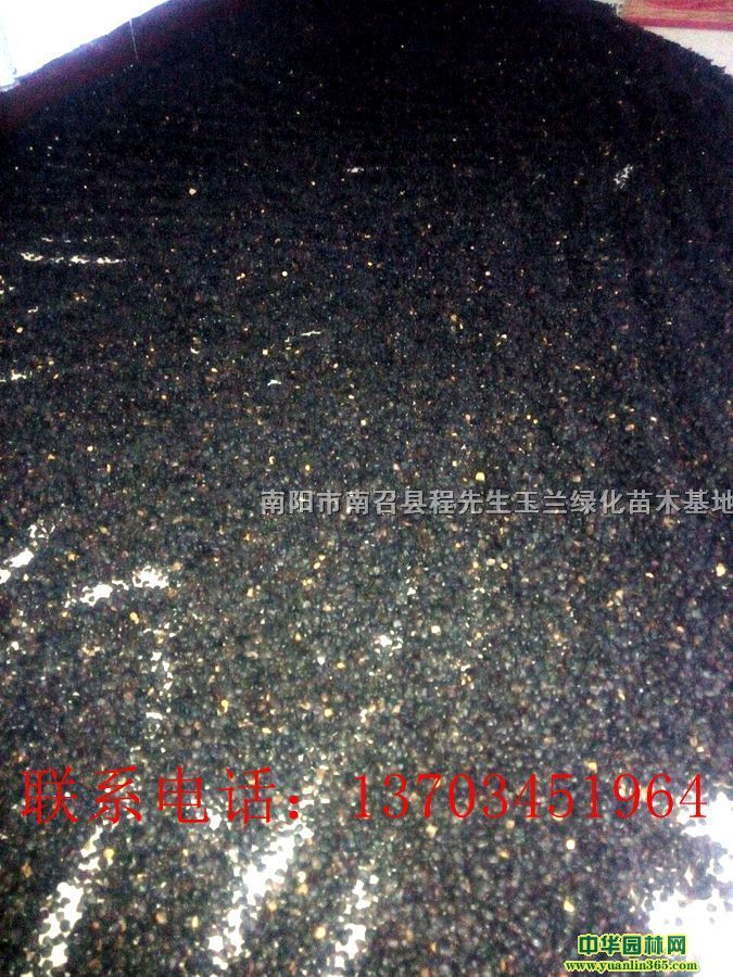 ķNӡNӡKNӡľϷNӡǗNӵ