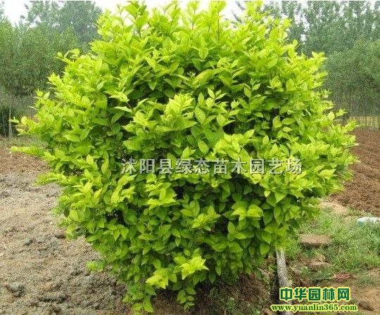 t~С򡢽~ŮؑС~Ůؑ